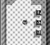 Penta Dragon (Japan) In game screenshot